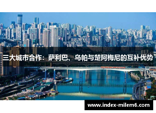 三大城市合作：萨利巴、乌帕与楚阿梅尼的互补优势