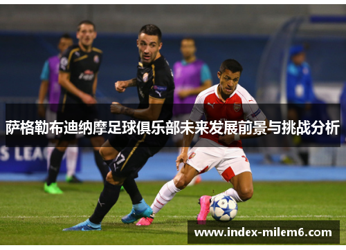 萨格勒布迪纳摩足球俱乐部未来发展前景与挑战分析