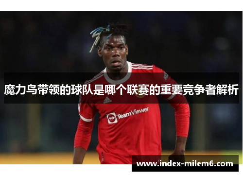 魔力鸟带领的球队是哪个联赛的重要竞争者解析