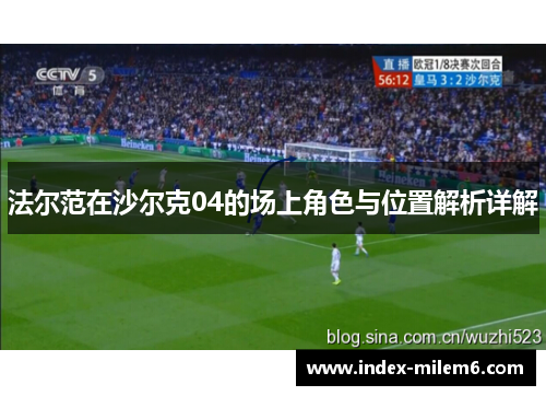 法尔范在沙尔克04的场上角色与位置解析详解