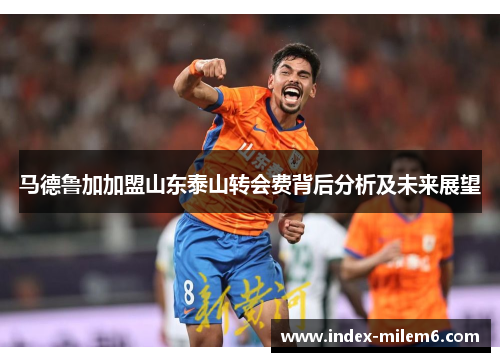 马德鲁加加盟山东泰山转会费背后分析及未来展望