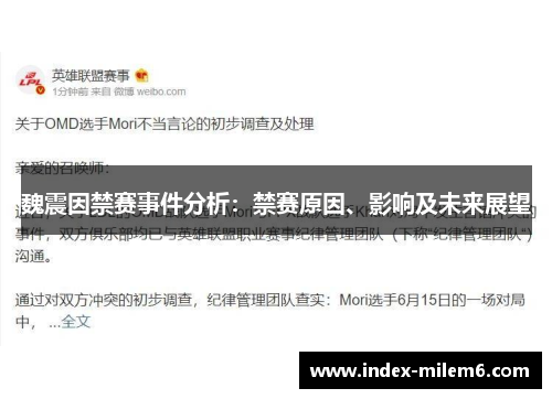 魏震因禁赛事件分析：禁赛原因、影响及未来展望